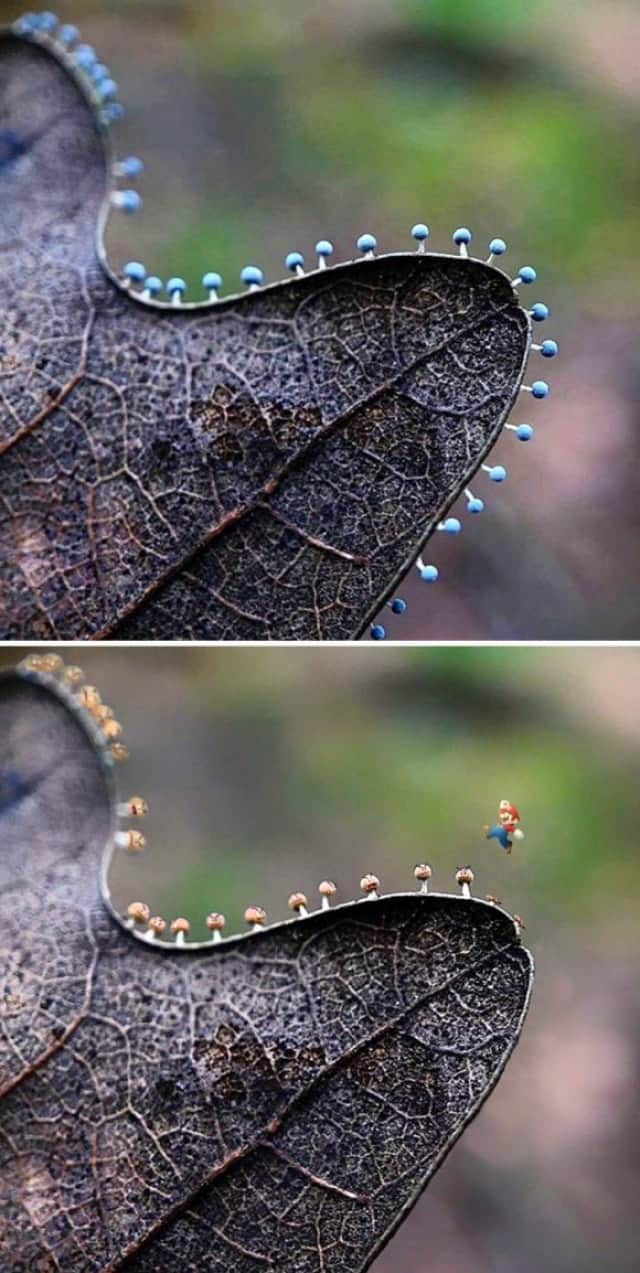 コラ職人が腕を振るう 19年フォトショップバトル優秀作品15 カラパイア