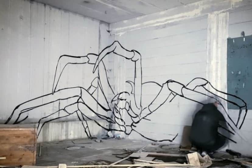 spider2_e