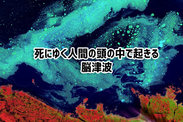 死の間際、人間の脳内では「脳津波」が広がっていることが判明