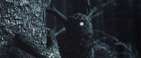 暗い森の中をさまよう 孤独な生き物の物語 カラパイア