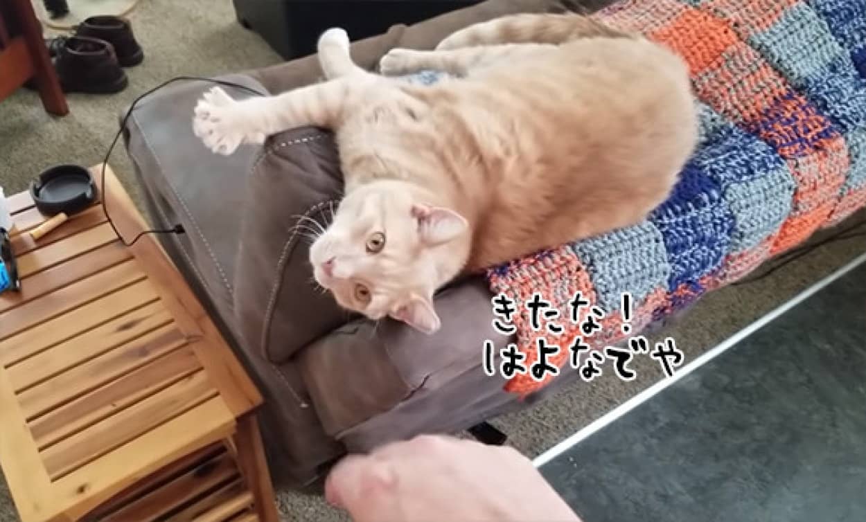 no title