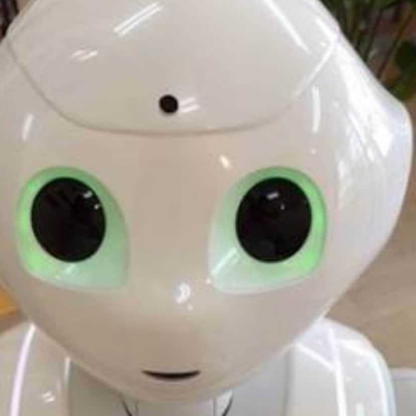 pepper