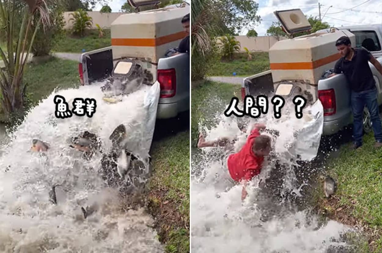 魚と共に池に放流された男性