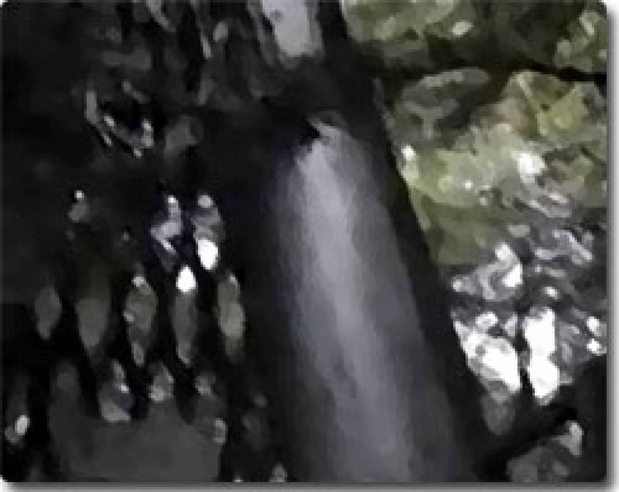 怪しい都市伝説が飛び交う 大澄山の不思議な塔を見に行ってきた カラパイア