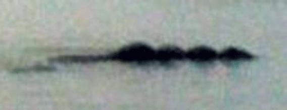 bownessie4