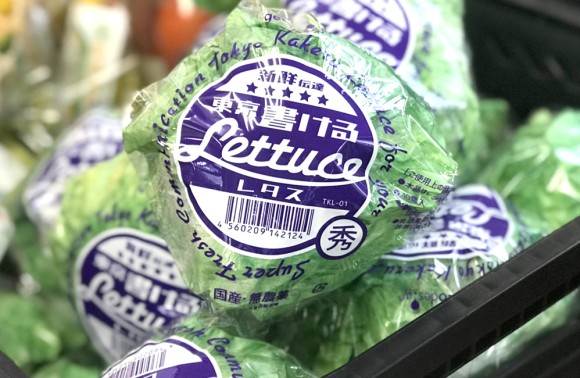 レタスに文字が書けるだとぅ？フレッシュな生野菜的レタスそっくりのメモ帳が販売中