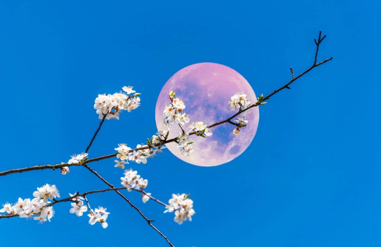 2021年4月21日はピンクムーン満月