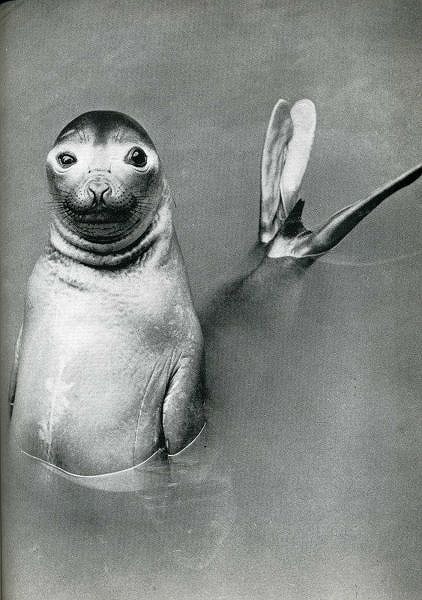 classic_life_magazine_photos_02