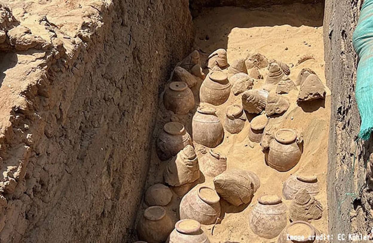 古代エジプト女王の墓から5000年前のワイン壺を大量発見