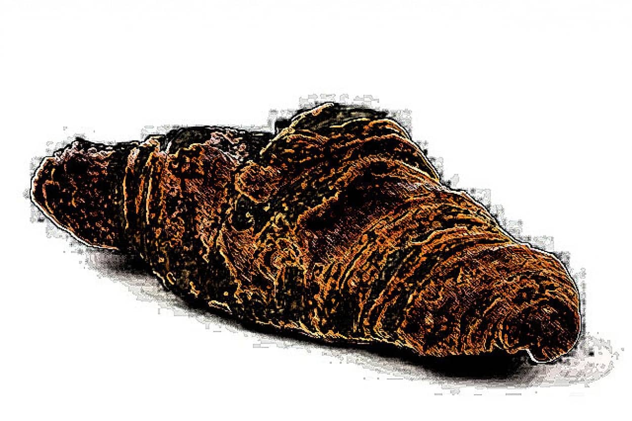 木の上に登っていた謎生物の正体はクロワッサン!