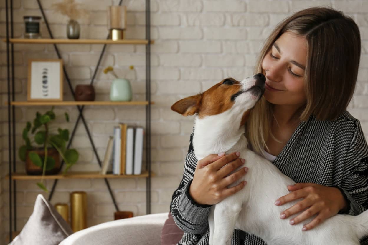 犬は人の息の匂いからPTSDを嗅ぎ分けられる