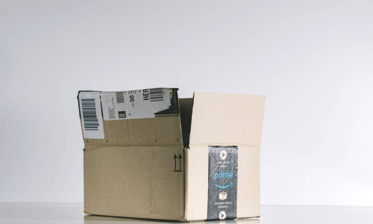 Amazonの箱がすっきゃねん。返品用の箱に入り込んだ猫が千キロ先に配送されるも無事帰還