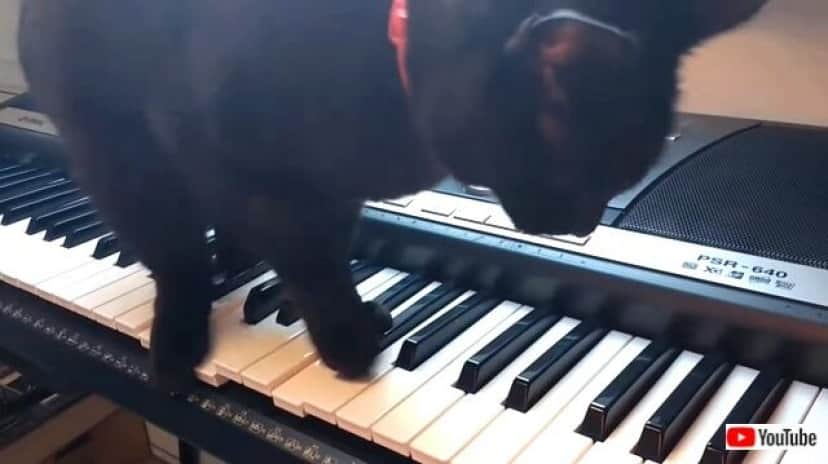 horrorsynth4_640