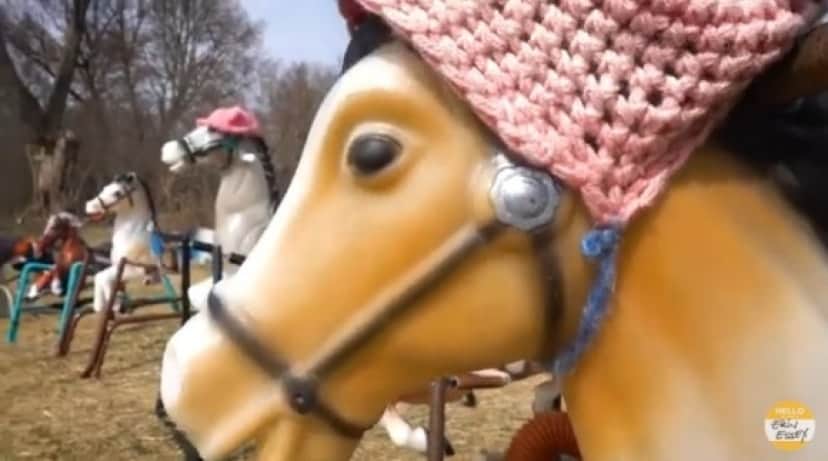 pony5_e