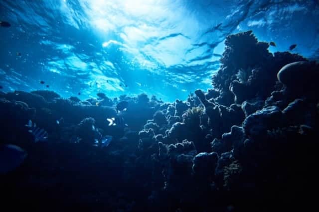 海と宇宙 本当に怖いのはどっち 海派 宇宙派がそれぞれの立場で恐怖の本質を議論 カラパイア 海と宇宙 本当に怖いのはどっち 海派 宇宙派がそれぞれの立場で恐怖の本質を議論 カラパイア