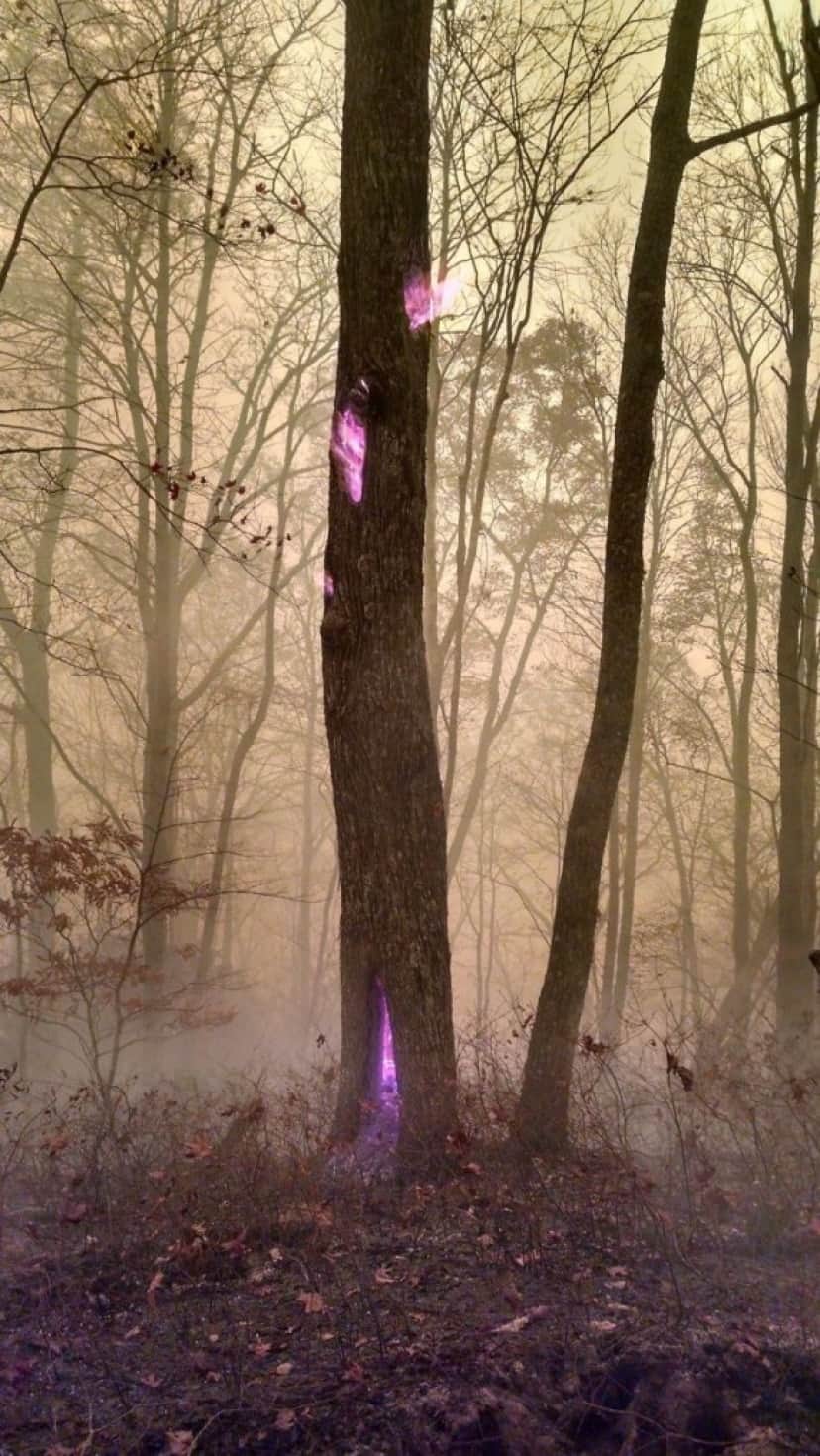 5_e