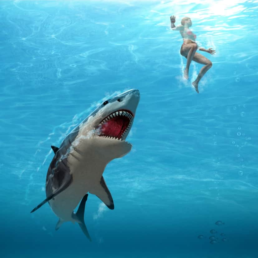 iStock-896880572