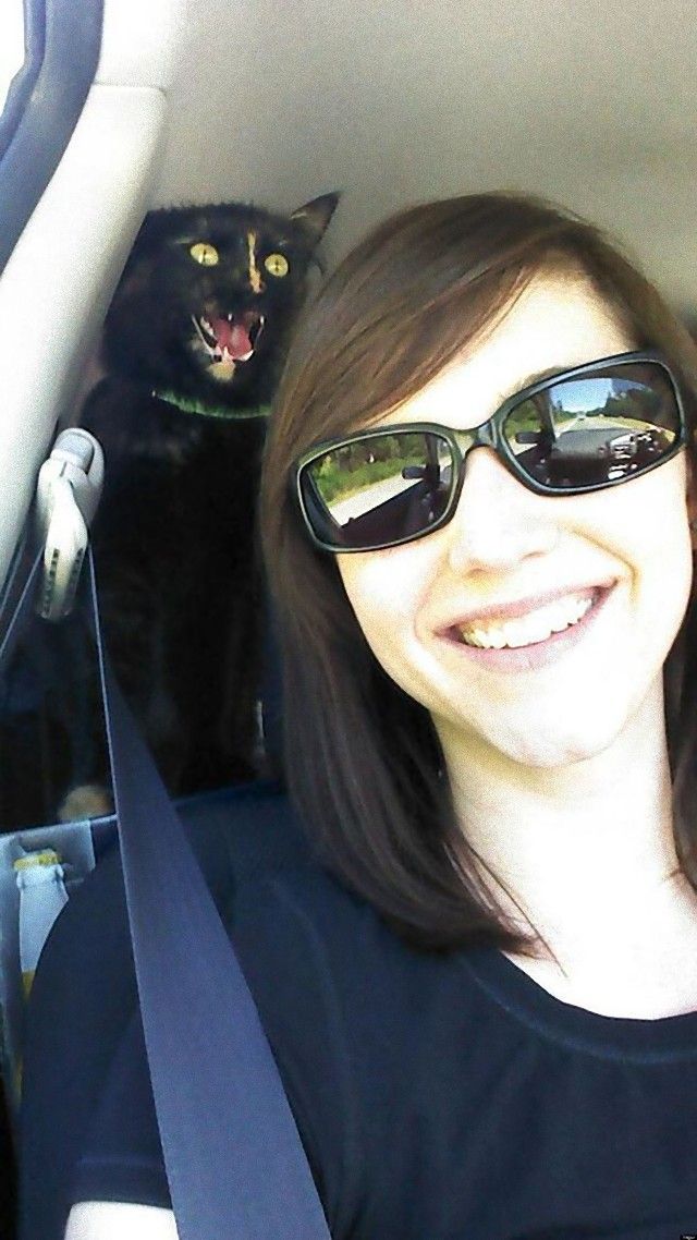 funny-cat-photobombs-44-58e3847b0745f__605_e