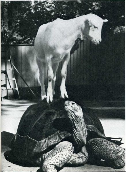 classic_life_magazine_photos_19