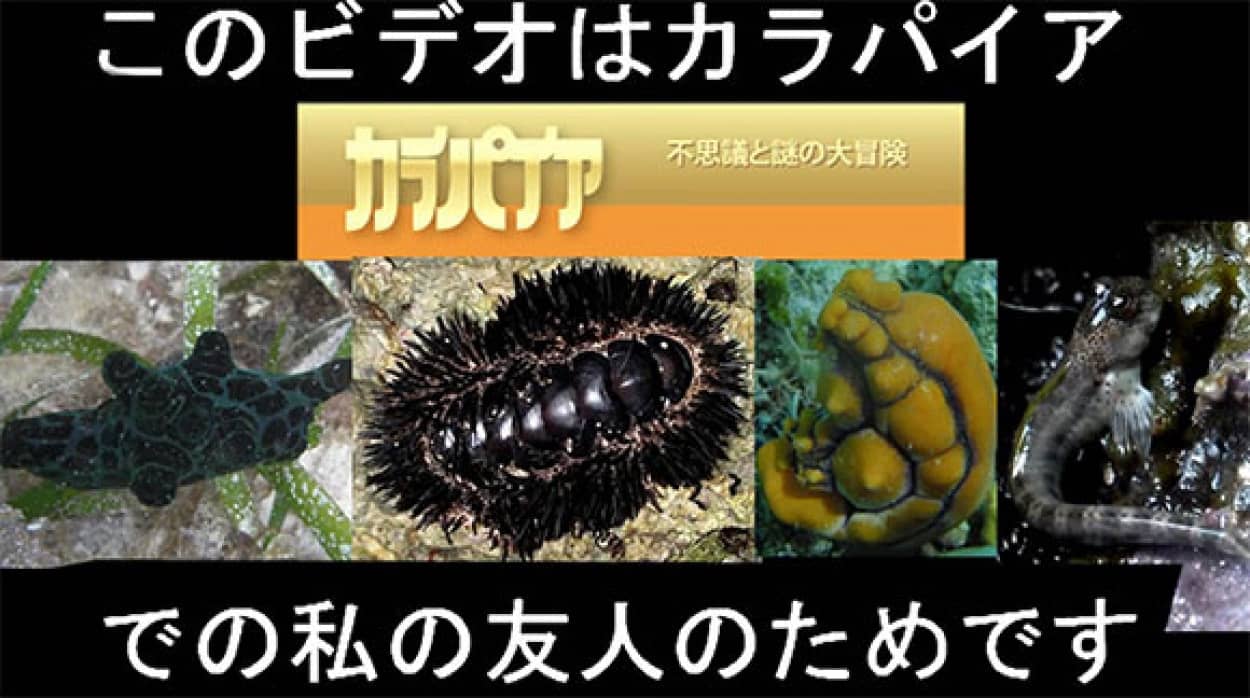 00