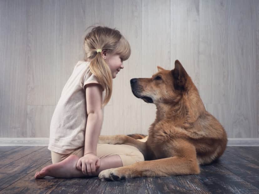iStock-925623990