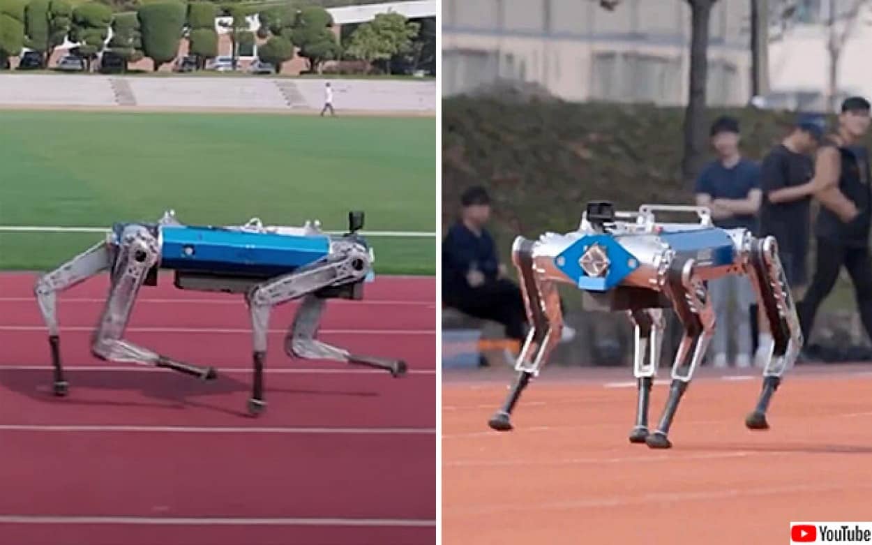 ロボット犬が100m走でギネス記録を更新
