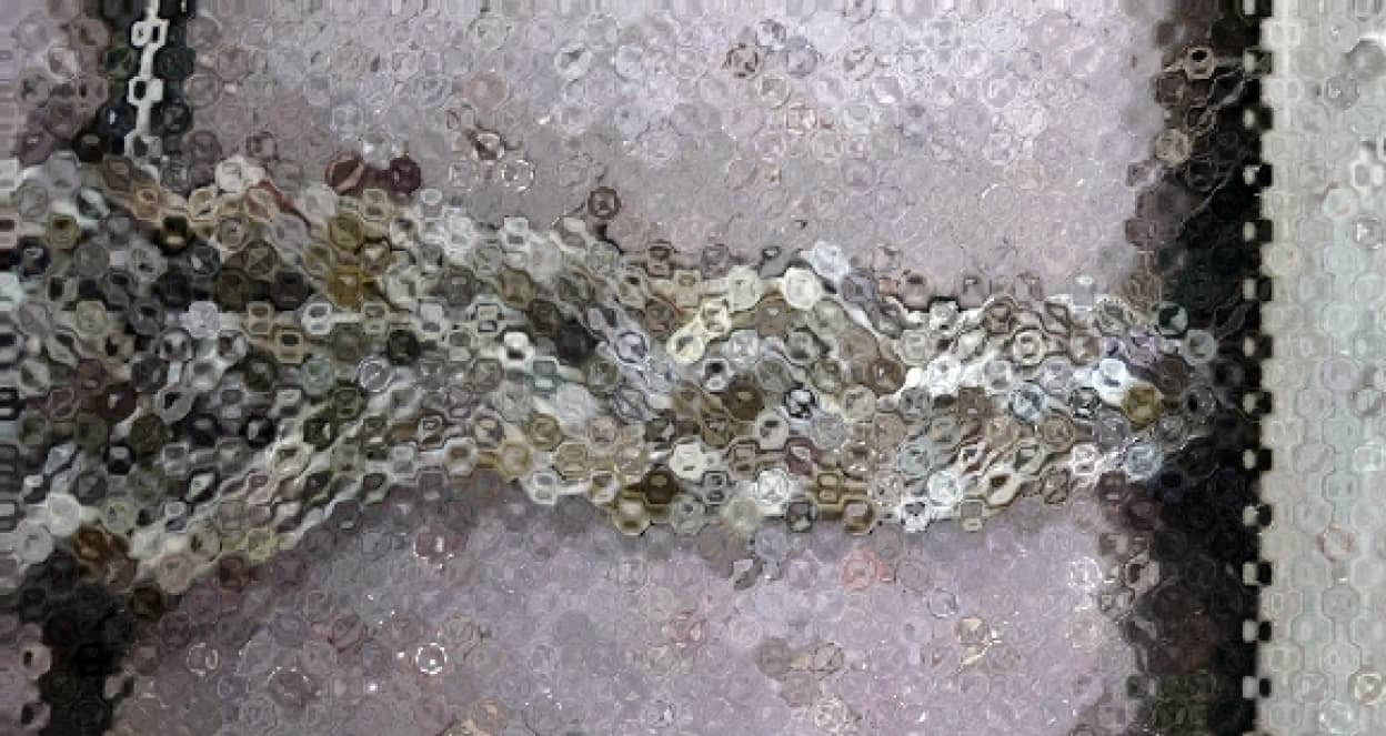 ひょえぇええ 編隊を組んでヘビに擬態しながら移動するキノコバエの幼虫の大行進 閲覧注意 カラパイア ひょえぇええ 編隊を組んでヘビに擬態しながら移動するキノコバエの幼虫の大行進 閲覧注意 カラパイア