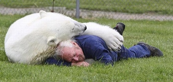 bear_04