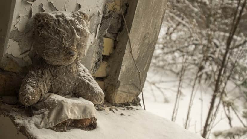 teddy-3393532_640