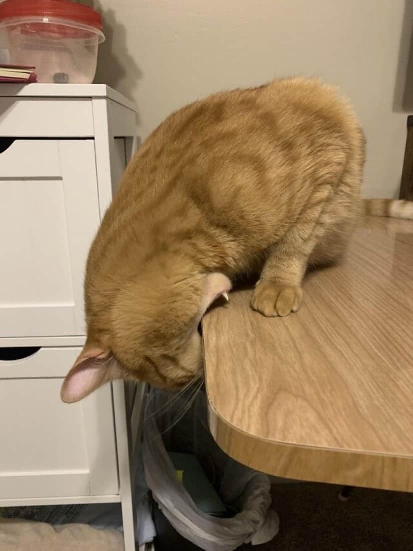 s3rkqj7aznk41_e