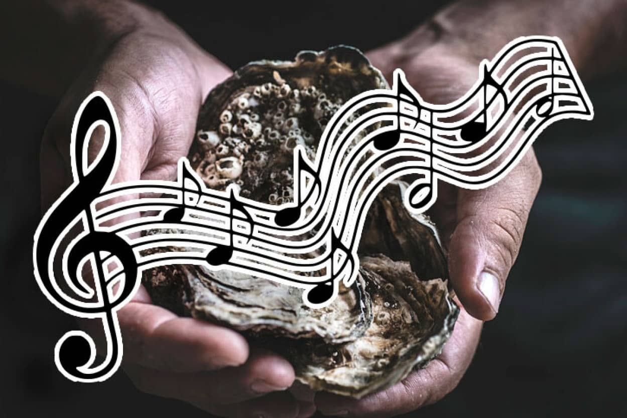 海に音楽を流し牡蠣の赤ちゃんを呼び寄せる