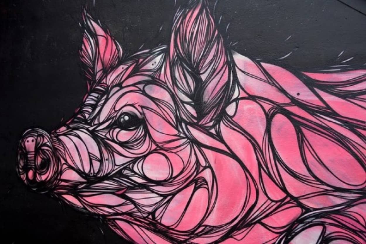 pig-981697_640_e
