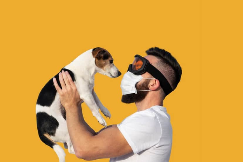 コロナウイルスの匂いを嗅ぎ分ける犬