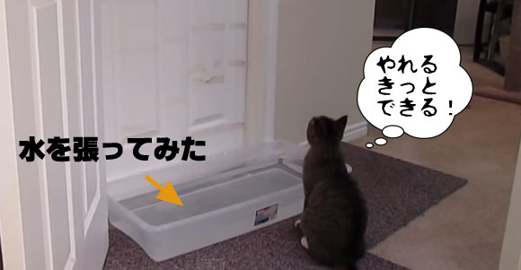 あまりにも頻繁に猫がドアを開けてしまうので水攻めにしたところ・・・