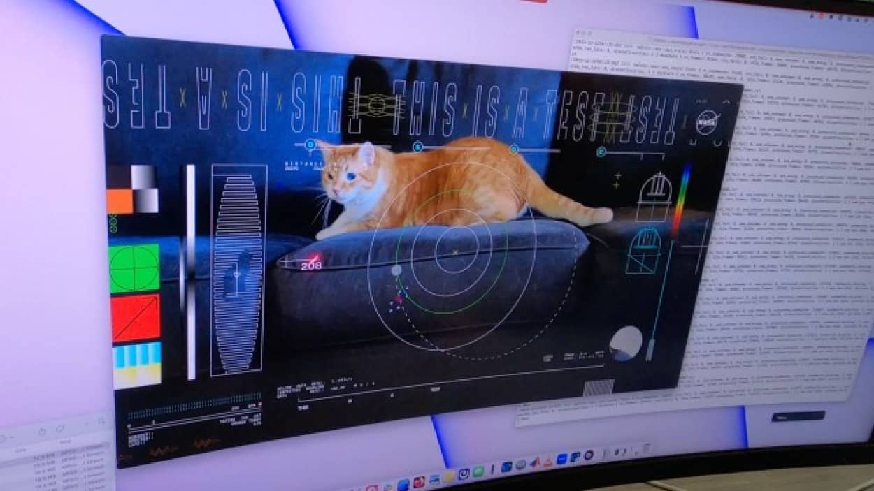 NASAが3100万km離れた地点から可愛い猫の動画をレーザー通信で送信