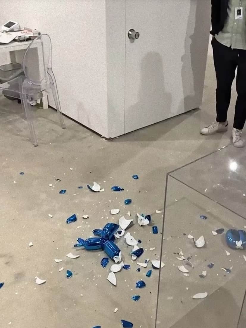 dog_e0