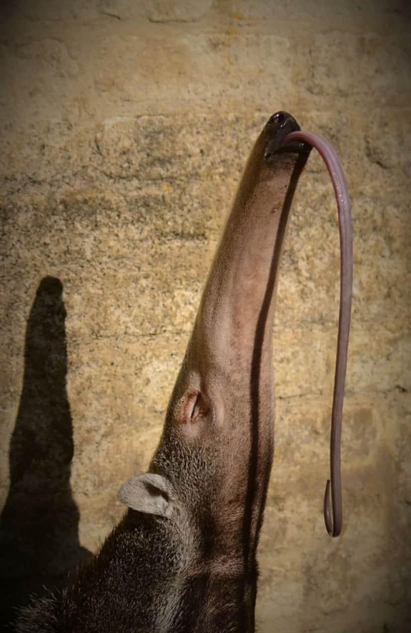 7_e9