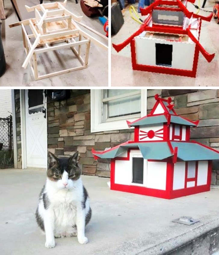 猫ファースト