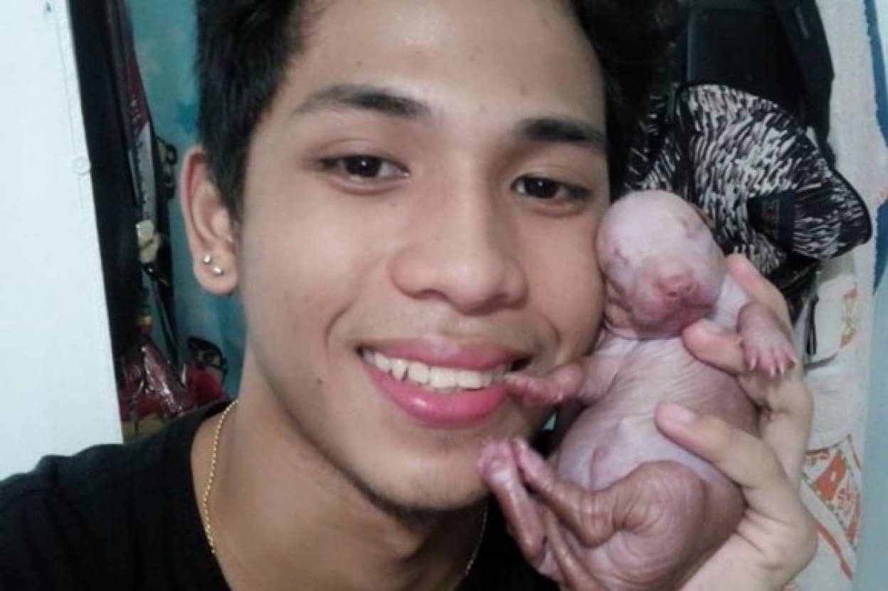 dog1_e