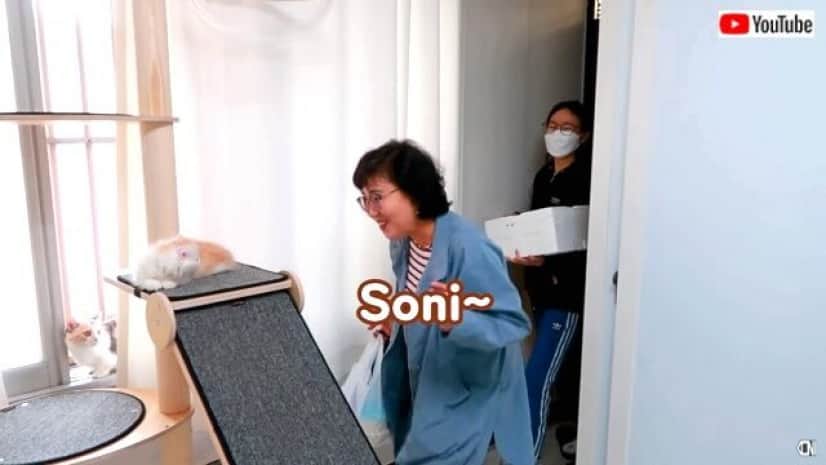 soni1_640