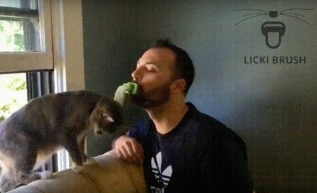 本気だった 愛猫家の為の猫を舐めるための猫舌 Licki Brush がキックスターターで資金募集開始 カラパイア