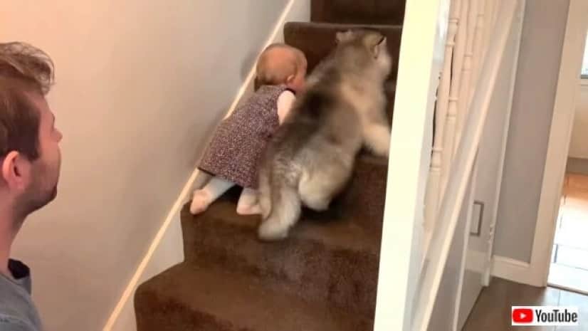 babynpuppy2-03
