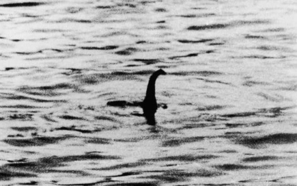 ネス湖に巨大生物は存在するよ 怪獣じゃないけどね ネッシーの正体は巨大ナマズ 説を唱える研究者 スコットランド カラパイア ネス湖に巨大生物は存在するよ 怪獣じゃないけどね ネッシーの正体は巨大ナマズ 説を唱える研究者 スコットランド カラパイア