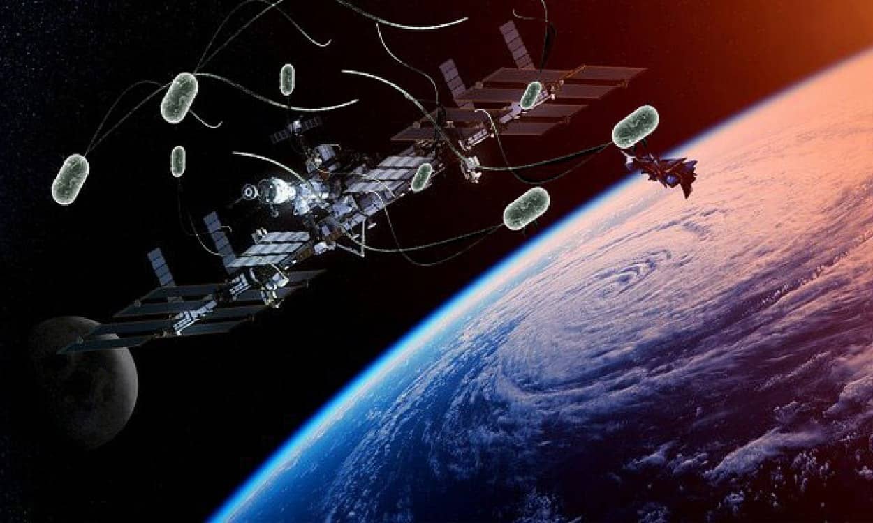 国際宇宙ステーションで新種の細菌を発見