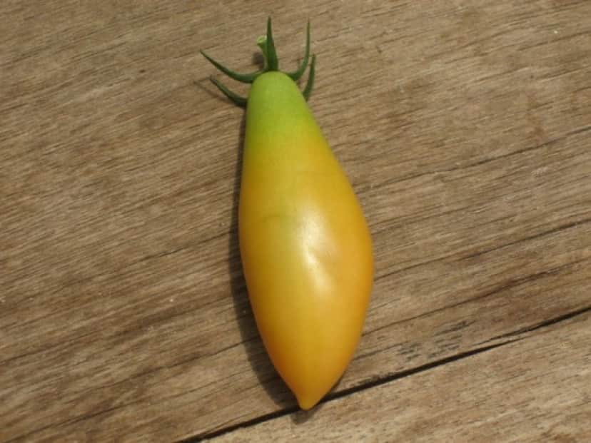 4_e0