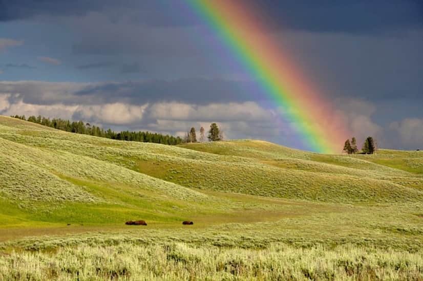 rainbow-1834809_640