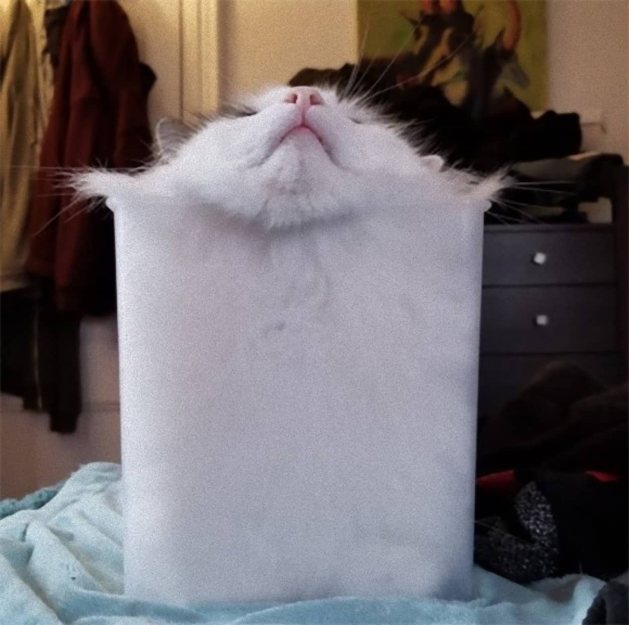 0_e