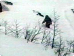 雪男はいる 生存の可能性は95 西シベリア国際会議 カラパイア