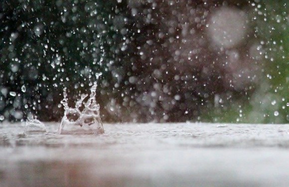 嫌いじゃない。雨が降った後に地面から漂う独特のニオイの正体は？（オーストラリア研究）