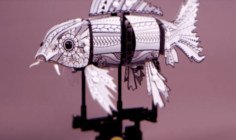 fish5